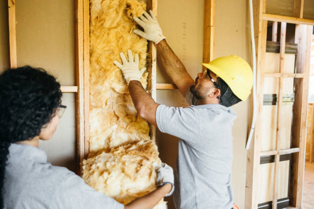 Types of Insulation We Offer in Chatham, VA